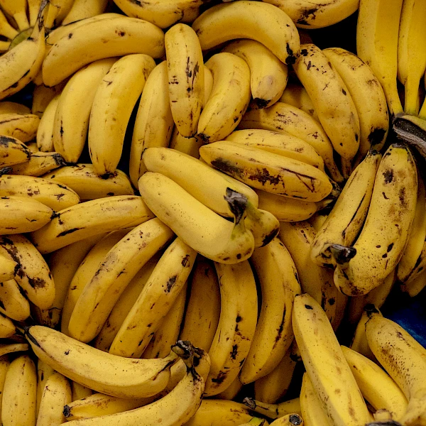 Reise der Banane